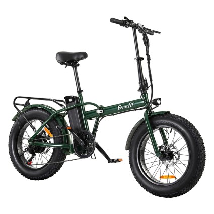 Everfit 20 Inch Folding Electric Bike 250W 36V 13Ah Removable Battery 60km Range Shimano 7-Speed Disc Brakes