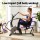 Everfit Recumbent Magnetic Exercise Bike Bluetooth App Connect Adjustable Seat 8 Resistance Levels Quiet