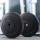 Everfit 60kg Barbell Weight Plates Set, Rubber Coated Cast Cement, 31mm Standard Home Gym Strength Training