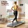 Everfit 3-in-1 Walking Pad Treadmill 2.5HP Foldable Under Desk 12% Incline APP Control 90x38cm Belt 110kg