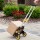 Giantz Folding Trolley Portable Hand Truck Lightweight Travel Luggage Trolley 80kg Capacity Silver 3 Position Handle