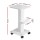 Embellir Salon Trolley Cart, Aluminium & ABS, 37.5x34x67.5cm, White - Stylish Beauty Rolling Tray with Lockable Wheels