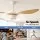 Devanti 52 Inch Ceiling Fan with 40W DC Motor, LED Light, Remote Control and Reverse Cycle Wood