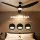 Devanti 64 Inch Ceiling Fan DC Motor with Built in LED Light Remote 5 Speeds Reverse Cycle Black 64in