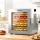 Devanti 10-Tray Stainless Steel Food Dehydrator with Glass Door, LED Controls, 850W, Adjustable Thermostat & Timer