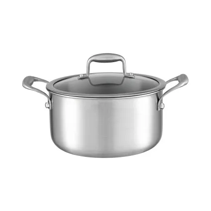 5-Star Chef 4.5 L Stainless Steel 24 cm Dutch Oven Pot with Lid Stay-Cool Handle Induction Safe Cookware