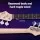 Alpha 47 Inch Electric Guitar Red – Basswood Body, Maple Neck, 21 Frets, Humbuckers, Gig Bag, Beginner Set