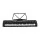Alpha 49-Key Portable Electronic Keyboard Digital Piano 16 Timbres 10 Rhythms Microphone Input AC or Battery