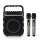 Alpha Portable Karaoke Machine with 2 Wireless Mics, Bluetooth 5.3, LED Lights, USB/AUX, 6.5