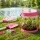 Keezi Kids Bug Catcher Kit 12-Piece Outdoor Explorer Set Pink