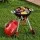Keezi Kids Pretend BBQ Play set with Simulated Charcoal Lights Play Food Wheels Multicolour Role Play Toy