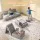 Keezi 12 Piece Modular Kids Play Couch Sofa Set with Washable Covers and 9+ Shapes Grey Indoor Playroom Use