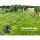 Giantz 2000M Electric Fence Polytape – 12mm Red & White, UV Stabilised, 5-Strand Stainless Steel, High Visibility