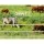 Giantz 2000M Electric Fence Polytape – 12mm Red & White, UV Stabilised, 5-Strand Stainless Steel, High Visibility