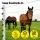 Giantz 200pcs Electric Fence Insulators - Black Pinlock, UV-Resistant Polyethylene for Y/Metal Posts, Durable Design