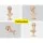 Embellir Female Mannequin Head Display Stand, High-Quality PVC, 52cm, Realistic Features, Ideal for Wigs & Accessories