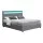 Artiss Cole Queen Bed Frame with LED Lights, Gas Lift Storage, Faux Linen Upholstery, Grey, Easy Assembly