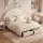 Artiss Double Bed Frame with Storage Drawers, Velvet Upholstered Platform, LED Rounded Headboard, Pine & Metal, 300kg
