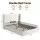 Artiss Double Bed Frame with Gas lift Storage, USB Type-C Charging Ports and Velvet Headboard White