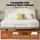 Artiss Adjustable Bed Frame Queen Size Electric Base, Remote, Zero Gravity, Custom Head & Foot Positions, 420kg Capacity