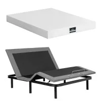 Artiss Queen Electric Adjustable Bed Frame with Giselle PURE 20cm Memory Foam Mattress Combo Black