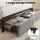 Artiss Queen Velvet Upholstered Metal Bed Frame with LED Lighting USB Type‑C Charging and 2 Drawers Black