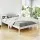 Artiss Sofie Double Bed Frame - Solid Pine Wood, White Finish, Plywood Slats, Eco-Friendly, Fits Australian Mattress