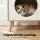 Artiss Cat Nest Bedside Table Solid Pine Legs E1 MDF 2-in-1 Cat House Nightstand 40x40x50cm Pine White
