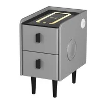 Artiss AIDA Smart Bedside Table 2 Drawers Grey PU Leather, LED Lights, Wireless Charging, Bluetooth Speaker, 45cm