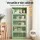 Artiss ELIA 2x Buffet Sideboard Cabinet 5-Tier Metal Mesh Doors Light Green 79cm x 32cm x 175cm Cold Rolled Steel