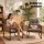 Gardeon Outdoor Dining Chair with Wicker Backrest and Cushion Black