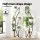 Artiss Plant Stand 6-Tier Ladder Shelf, E2 Particle Board, Black, 60x30x155cm, Indoor Outdoor Space-Saving Design