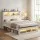 Artiss Queen Wooden Platform Bed Frame with Storage Bookcase Headboard Footboard Charging Station RGB LED White