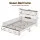 Artiss Queen Wooden Platform Bed Frame with Storage Bookcase Headboard Footboard Charging Station RGB LED White