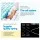 Giselle Bedding Algarve Series 34cm Euro Top Pocket Spring Mattress - King Single, Medium-Firm, High-Density Foam
