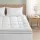 Giselle Bedding Double 5cm Pillowtop Mattress Topper Coral Fleece 1000GSM Hollow Fibre with 45cm Skirt Machine Washable