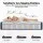 RoomSense 26cm Orthopaedic Firm Pocket Spring Hybrid Mattress Queen Size for Back Pain Relief and Motion Isolation