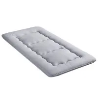 Giselle Bedding 10cm Japanese Floor Mattress Foldable Futon 100x200cm Removable Washable Cover Grey 25D
