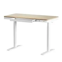 Artiss 120CM Oak Motorised Standing Desk - Dual Motor, Adjustable Height, USB Ports, Quiet Operation, Large Drawer