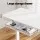 Artiss 120CM Electric Standing Desk, White - Motorised, Height Adjustable, USB Ports, Drawer, Digital Control