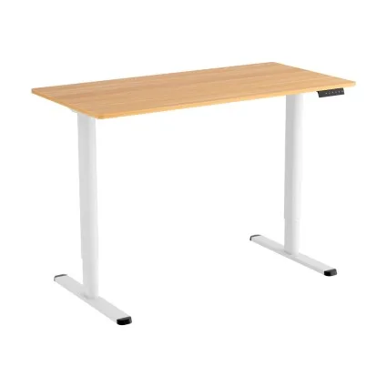 Artiss 120CM Electric Standing Desk, Height Adjustable 73-118CM, Single Motor, Steel Frame, Home Office Computer Desk