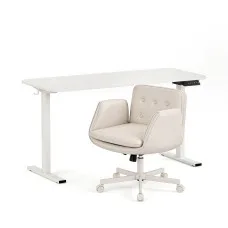 Artiss 140cm Electric Standing Desk with 4 Memory Presets and Criss Cross Ergonomic Chair Set for Home Office