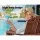 Gardeon 3PC Adirondack Outdoor Set - Fir Wood, Eco-Friendly Finish, Includes 2 Chairs & Side Table, Brown, Easy Assembly