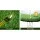 Primeturf 2mx10m 17mm Artificial Grass - Realistic Olive Green Synthetic Turf, Durable, UV-Stabilised, Easy Install