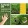 Primeturf 30mm Artificial Grass 1x20m Roll - 4-Tone PE Synthetic Lawn, UV-Stabilised, Durable & Easy to Install