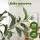 Artiss 180cm Lifelike Artificial Olive Tree – Indoor/Outdoor Décor, UV-Resistant, Maintenance-Free, Cement Base