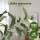 Artiss 210cm Artificial Olive Tree Faux Indoor Plant UV Resistant Flexible Branches Weighted Pot 2.1M