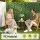 Gardeon Artificial Ivy Privacy Fence Screen 100 x 600cm UV Protected Green Backdrop Panel for Balcony Patio Garden