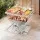 Grillz Portable Fire Pit BBQ Grill, Stainless Steel, 34x41x32.5cm, Includes Carry Bag, Perfect for Camping & Patios