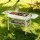 Grillz Portable Charcoal BBQ Grill - Foldable, Stainless Steel Racks & Pans, Carbon Steel Body, 118cm x 29cm x 64cm